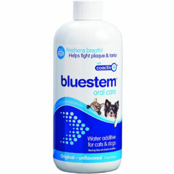 Bluestem Oral Care Water Additive Original 500ml