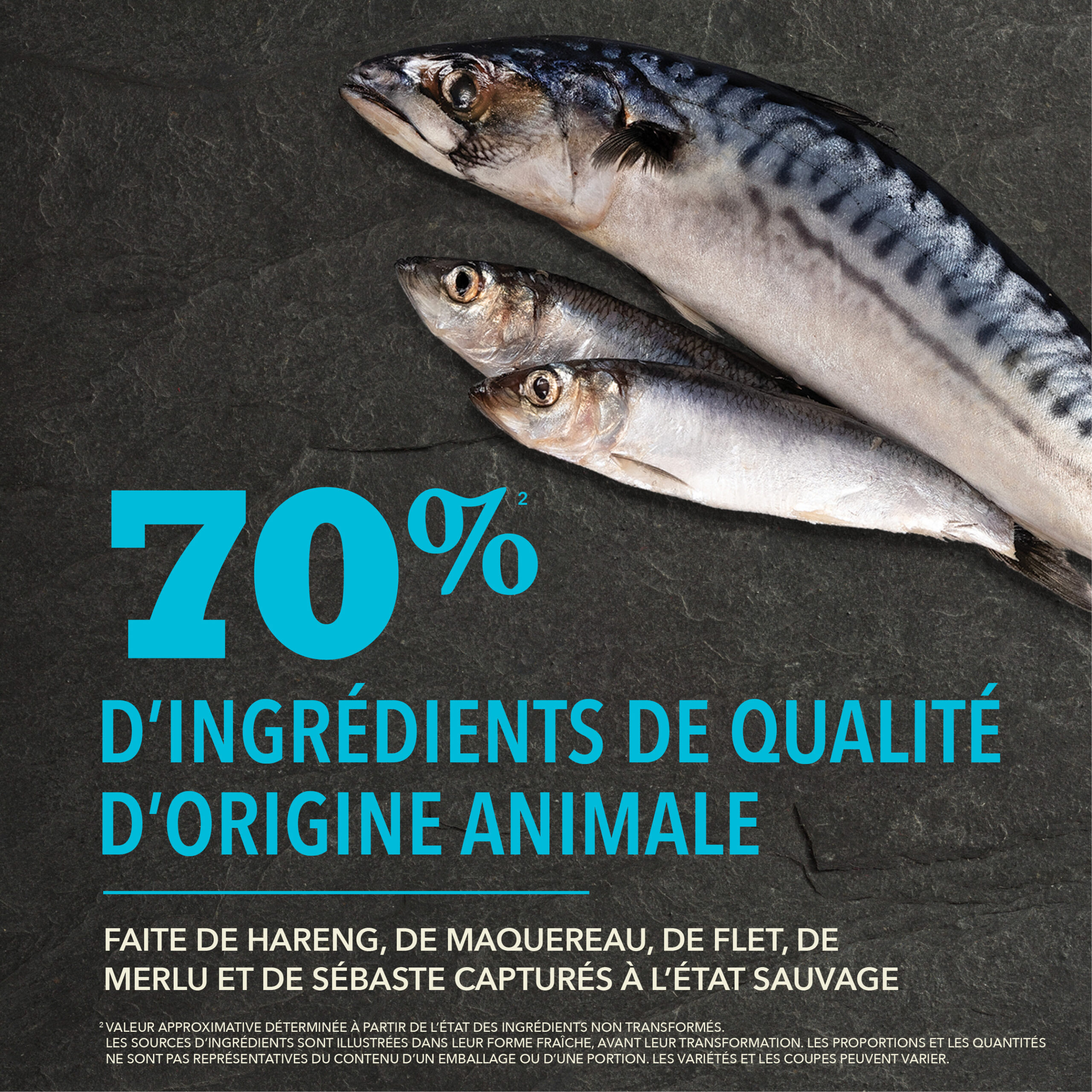 Acana Highest Protein Pacifica - Image 7