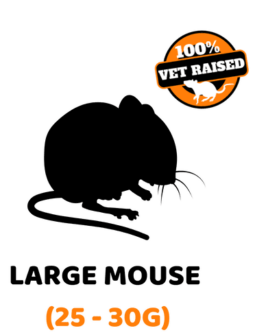 Exotic Feeders Mouse Large 25-30g - 4pk