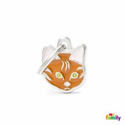 My Family - Friends - Red European Short Hair