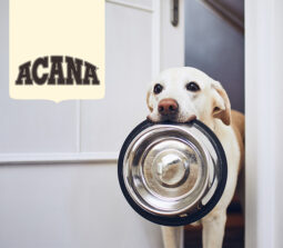 Acana Dog Food