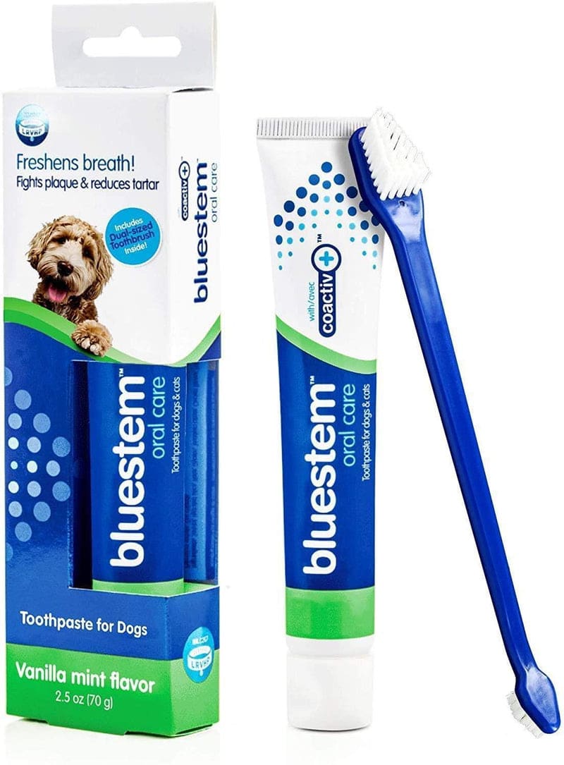 Bluestem Oral Care Toothpaste/Brush Combo Vanilla Mint 70g